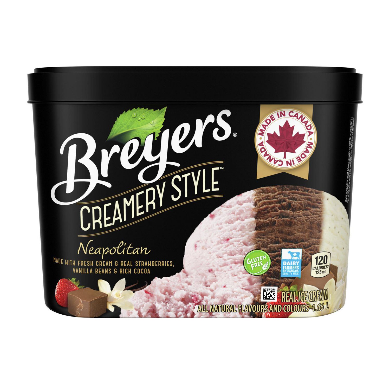 Frozen Treats